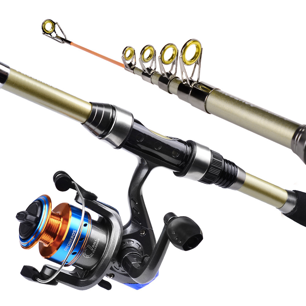 Ensemble de 40 pièces comprena - Fishing Rod Fly avis et prix